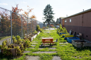 The roxhill garden on a beautiful sunny day