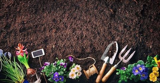 RoxStar Newsletter – April 2022