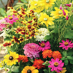Spring Flower Fundraiser