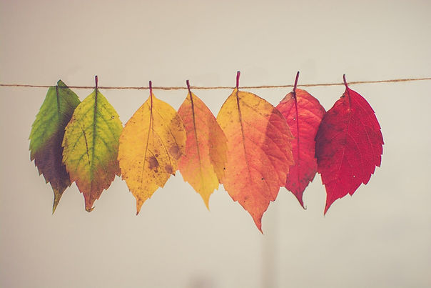 RoxStar Newsletter – November 2022
