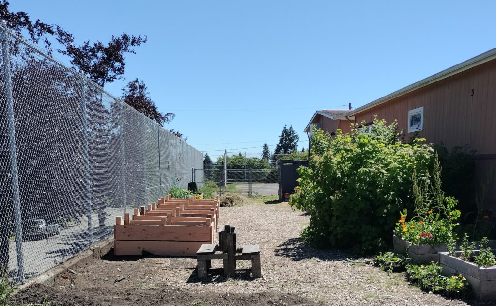 Five wooden garden boxes sit in a row between a fence and a row of tall plants