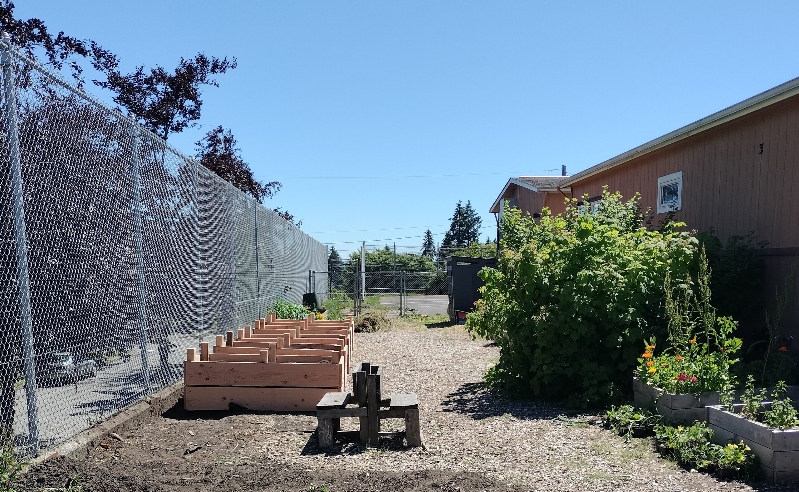 Garden update, pizza and community, and more back-to-school news!